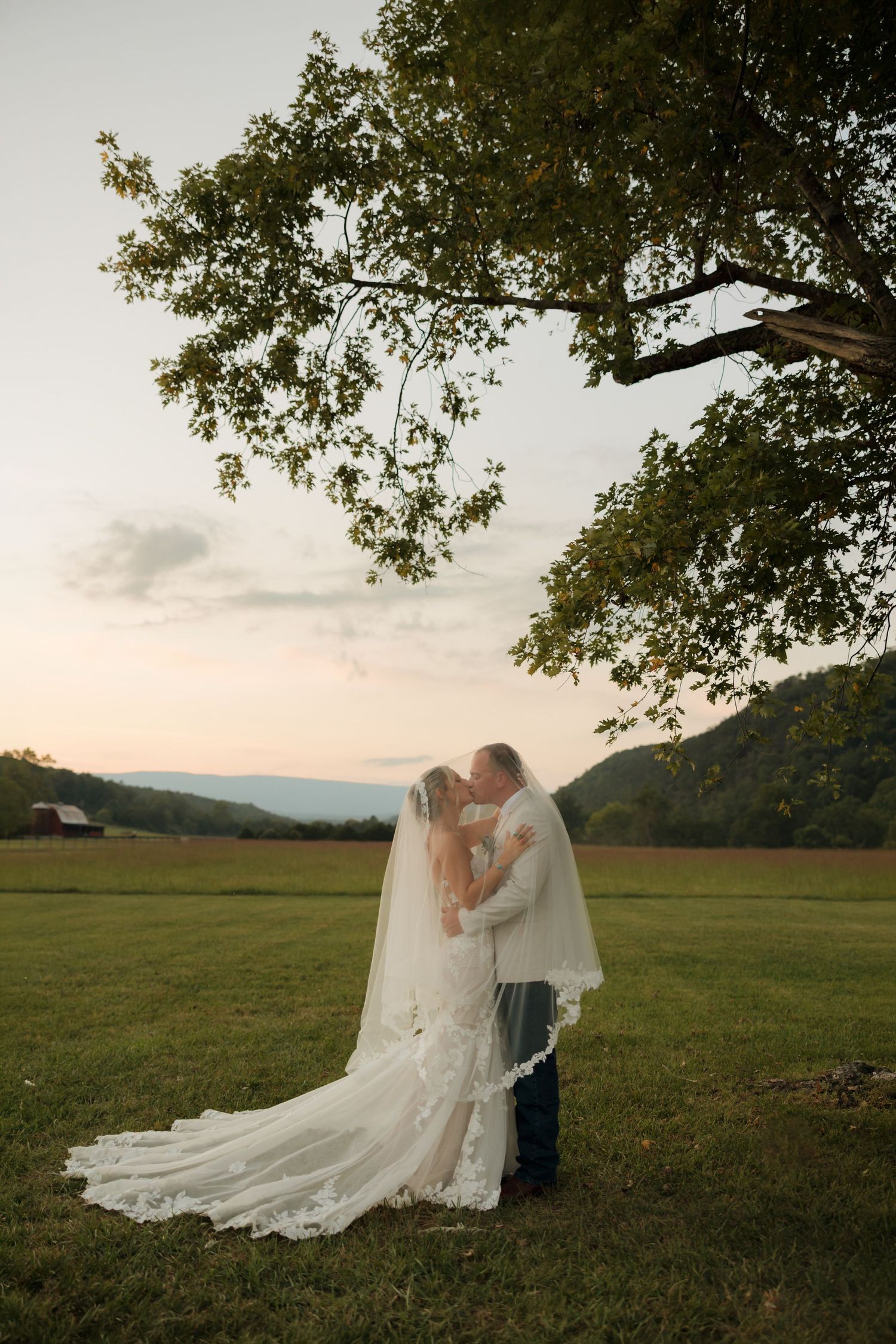 Bride and groom share a romantic kiss under a large tree at sunset with scenic mountain views and a lace wedding gown.
