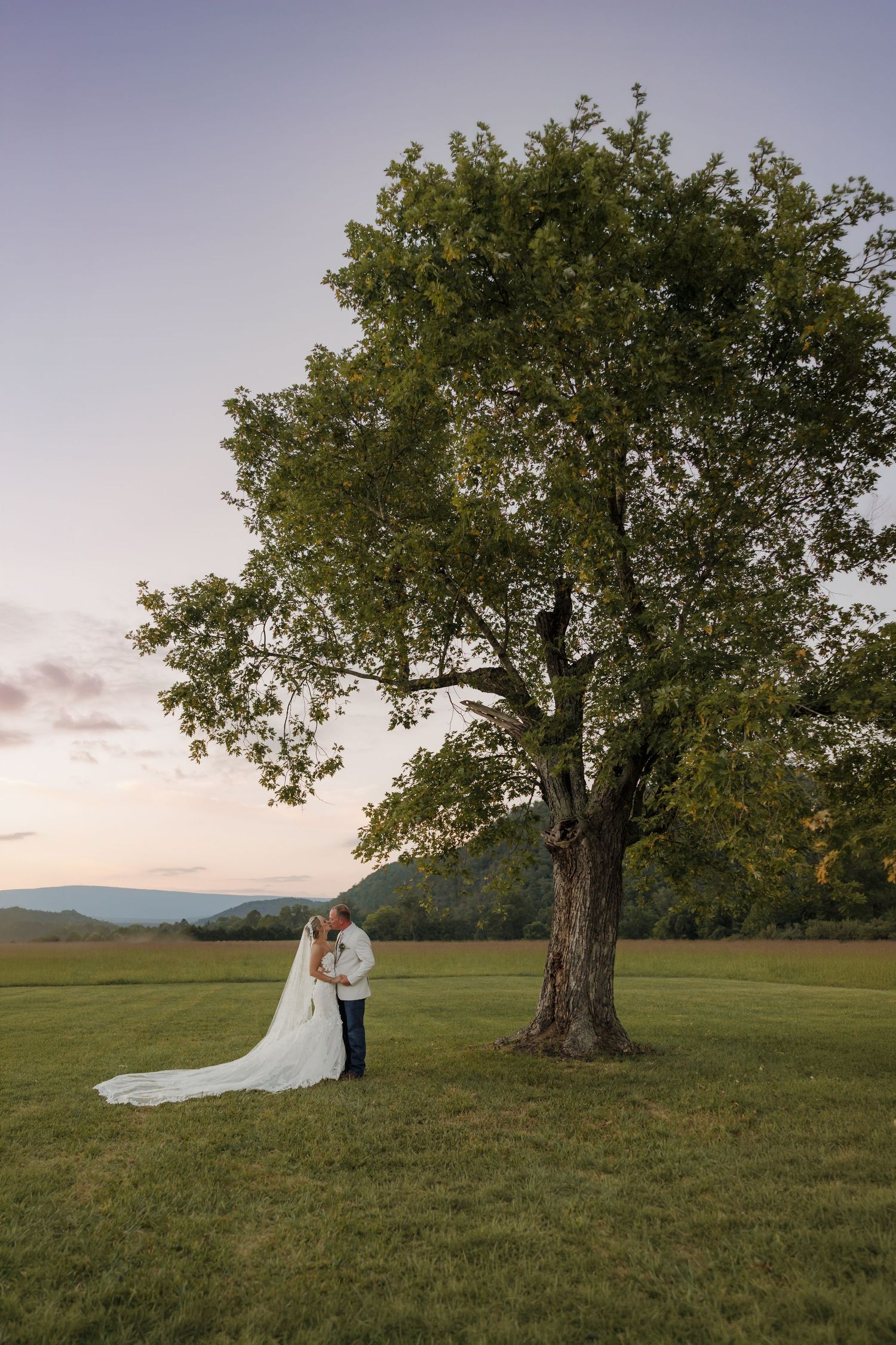 Wedding couple embraces beneath a tall green tree in an open field with mountain views at dusk.