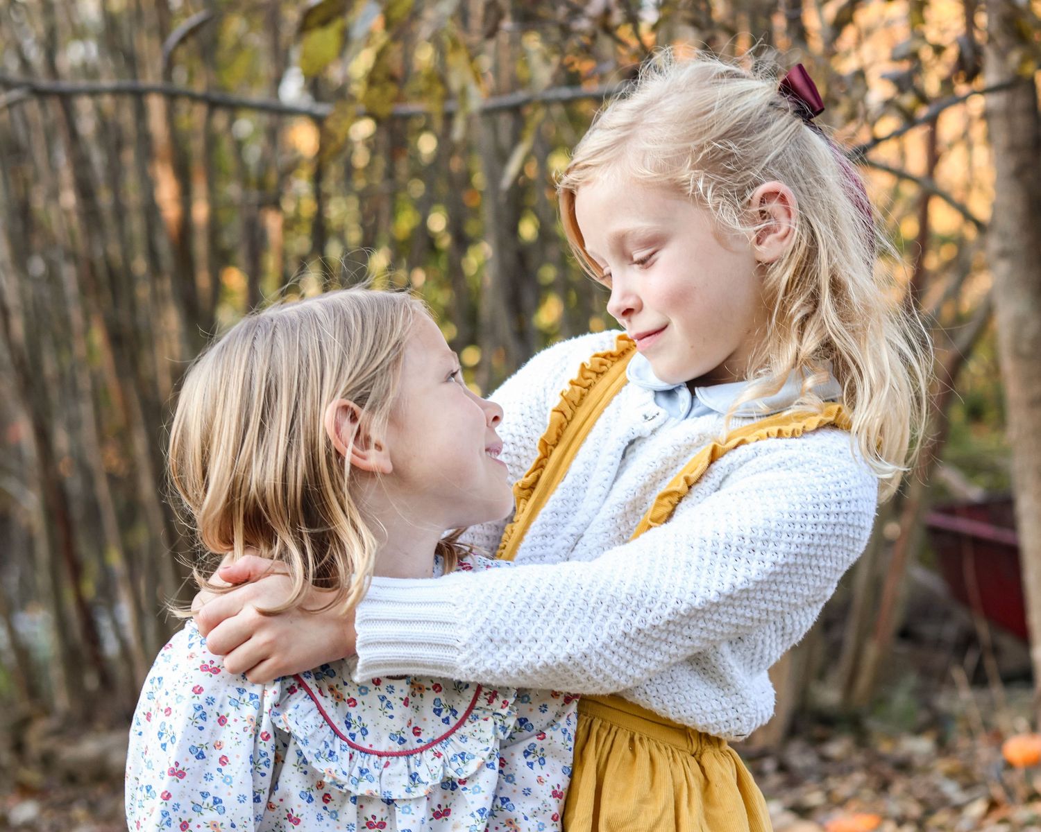Family Lifestyle Photography Services