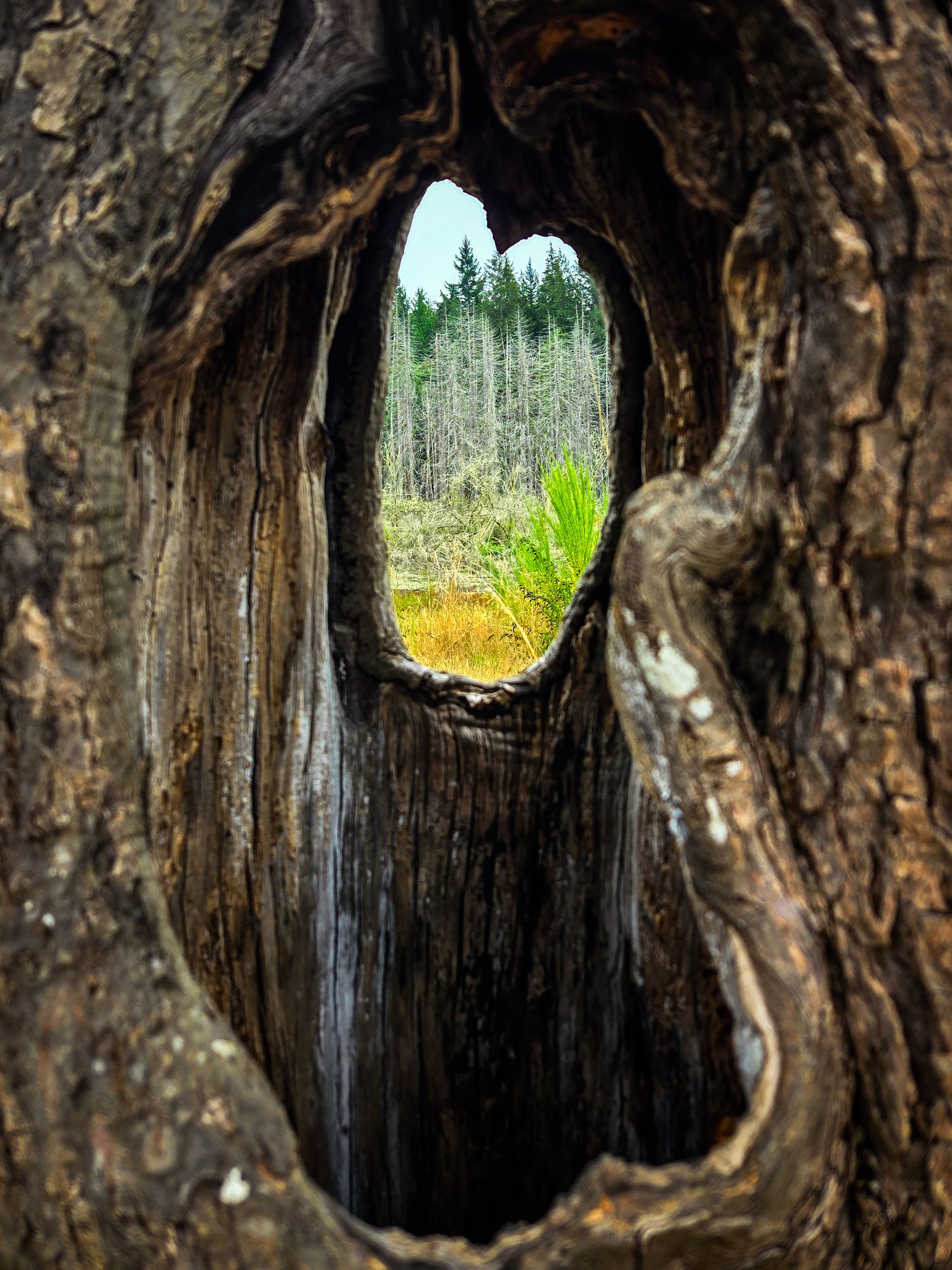 Kitsap Peninsula, Washington