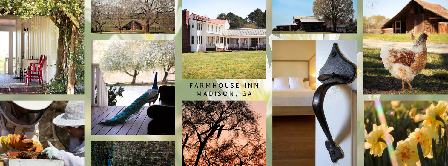 Branding photography for a local Georgia Inn & Farmhouse
