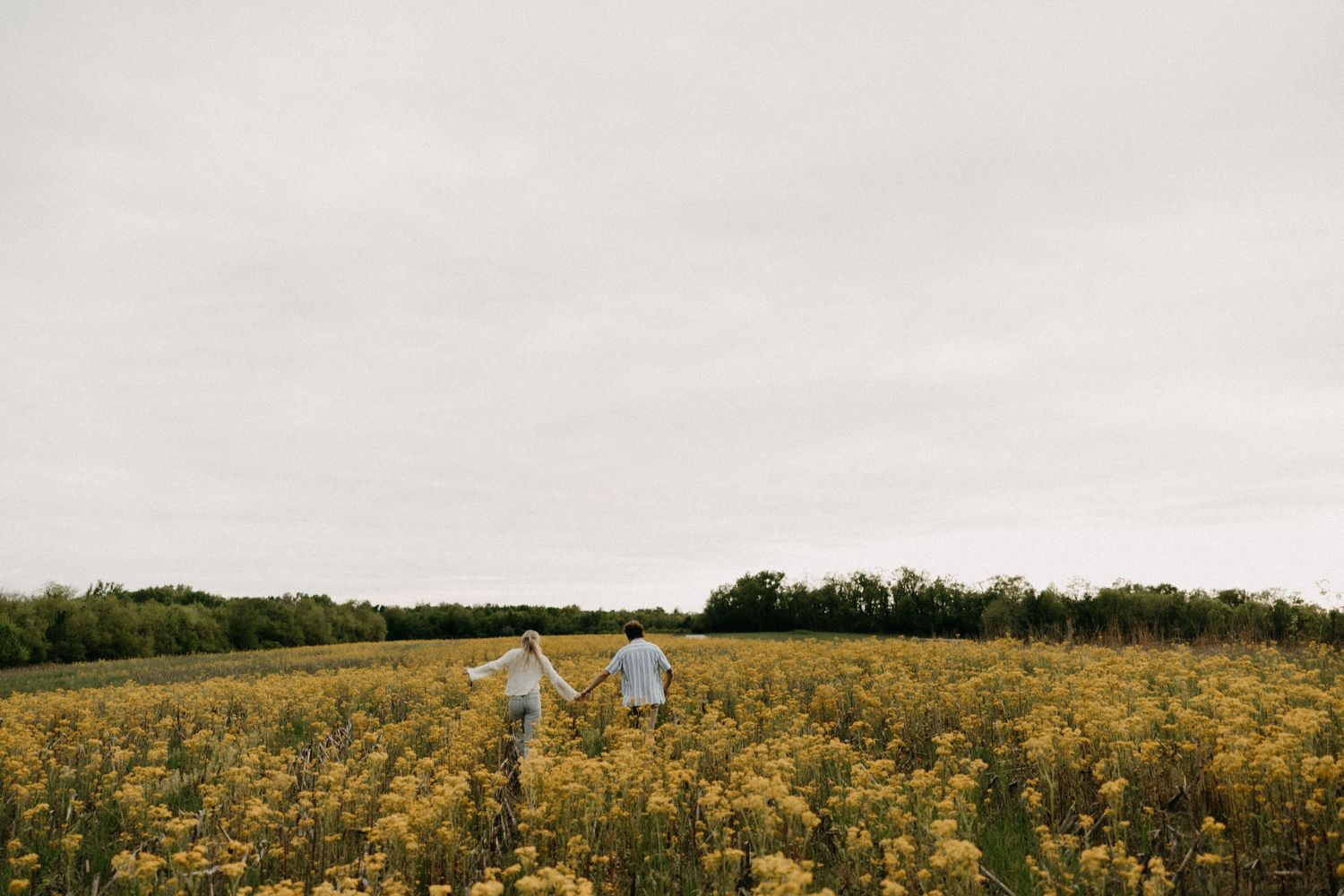 Panoramic view of a vast yellow flower field stretching to the horizon.