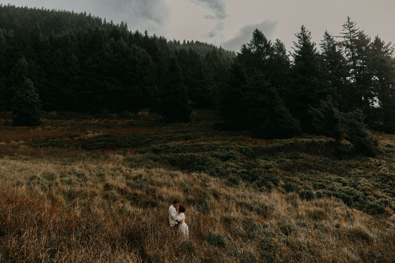 Moody landscape photograph of evergreen forest under cloudy skies.