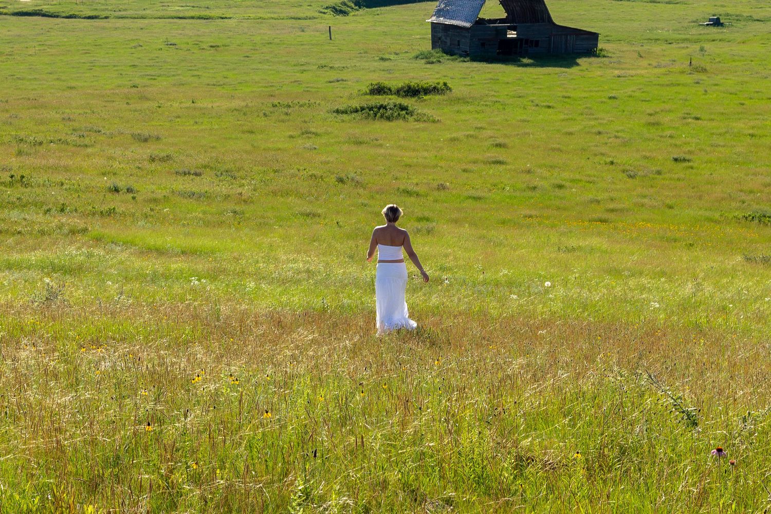 Woman in white dress walking through lush green meadow with rustic barn in background on sunny day.