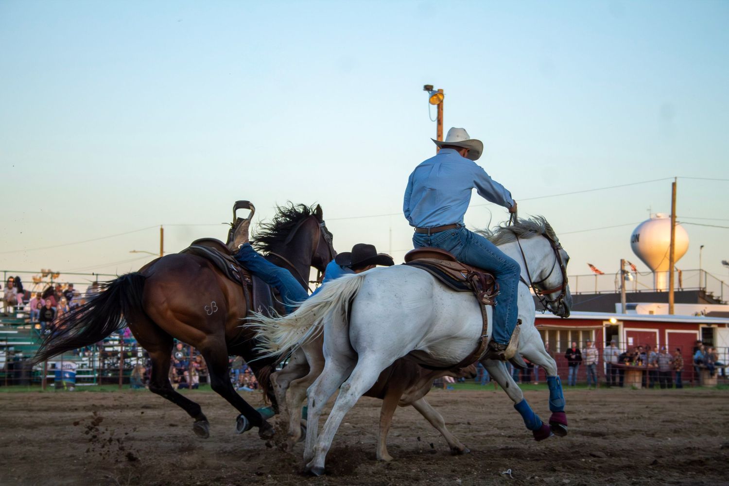 A rodeo rider performs a dangerous stunt on a bucking white horse at a county fair competition.
