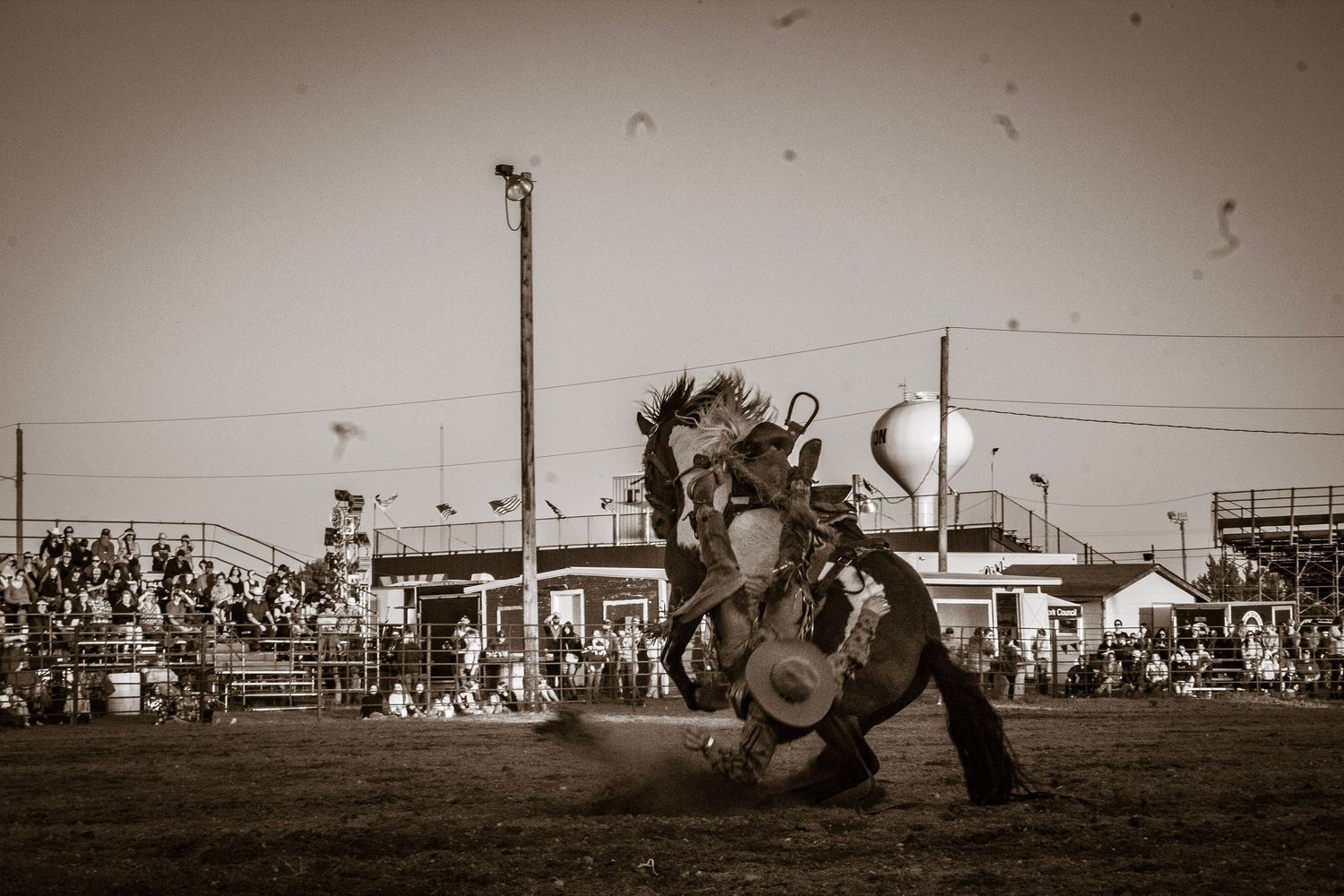 A sepia-toned sequence of rodeo action shots showing bronc riding and bull riding performances at a western arena.