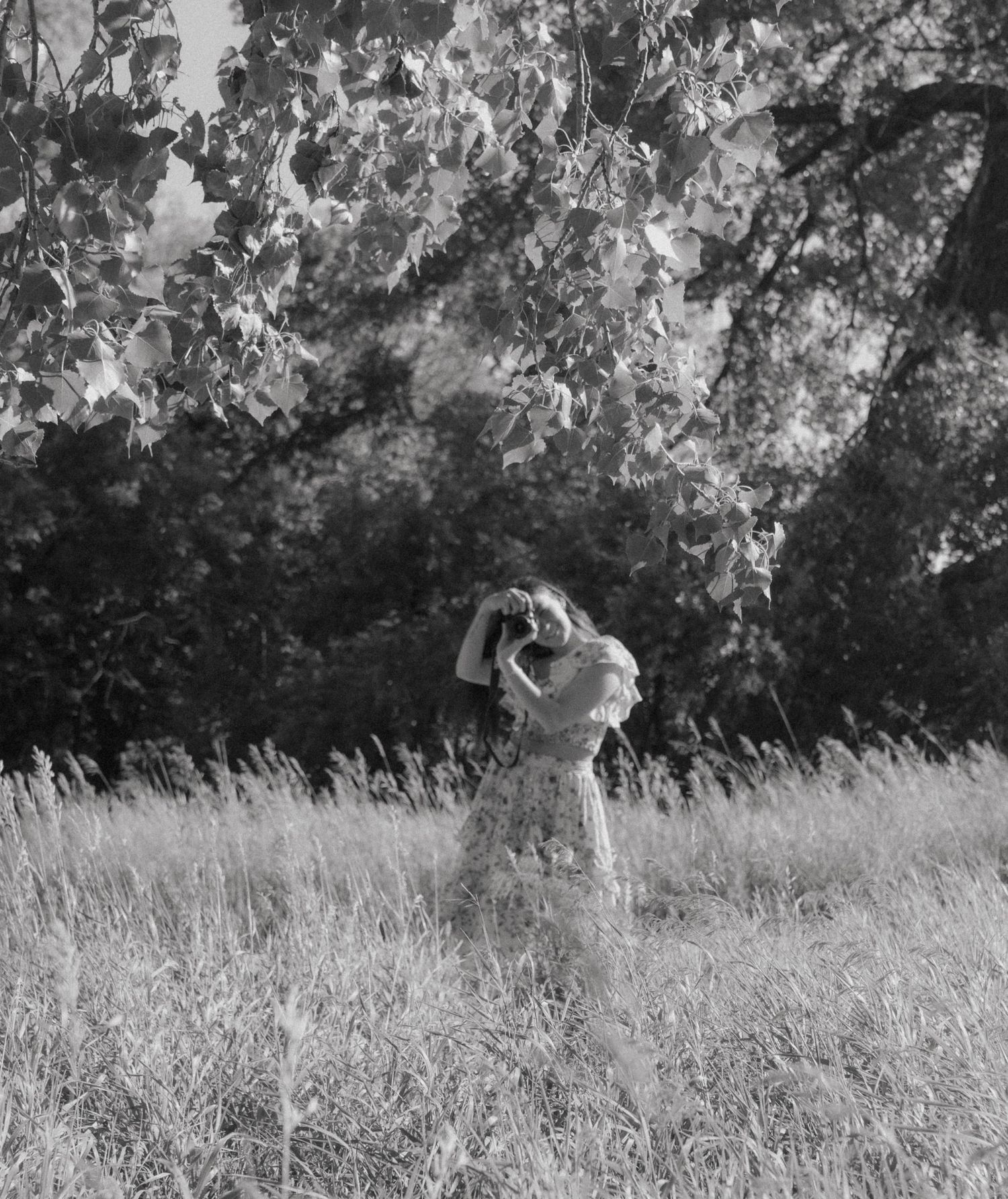 Scenic black and white photograph of tall grass meadow with trees in background.