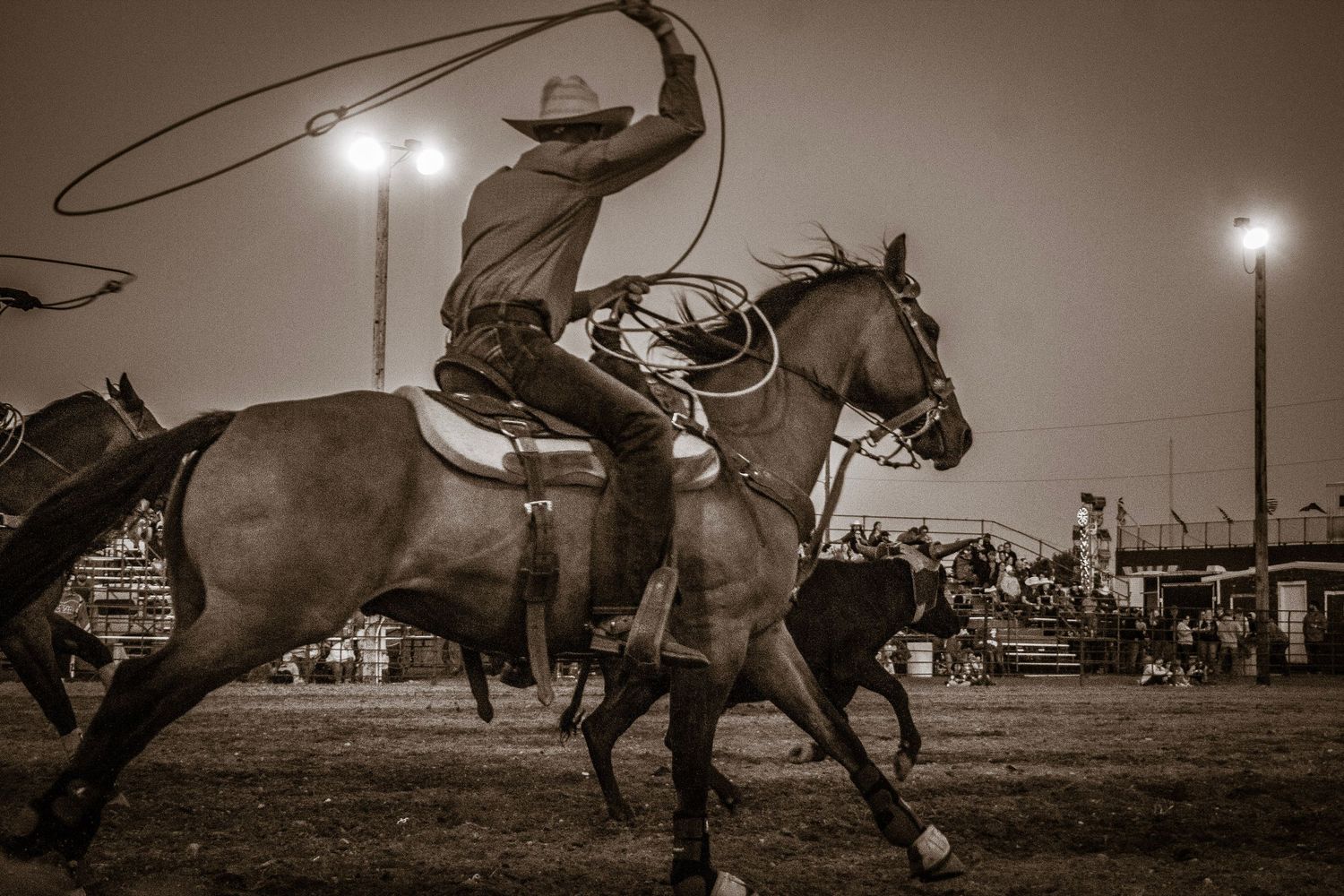 Dramatic sepia-toned sequence of a horse and rider performing a rodeo bronc riding event under arena lights.