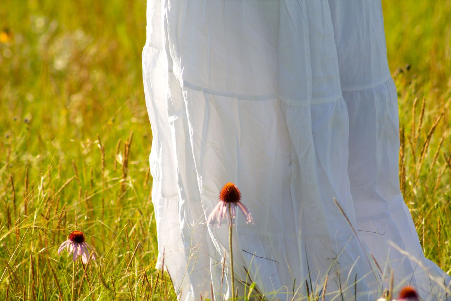 White dress in sunlit meadow with purple coneflowers blooming in green grass.