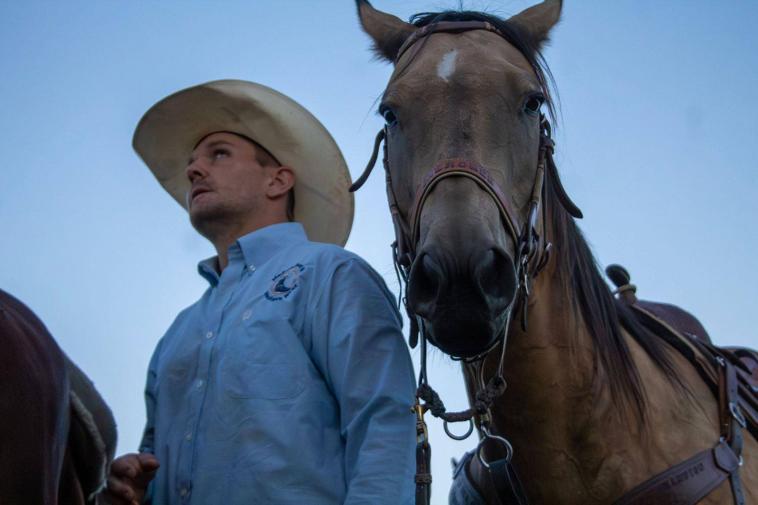 A series of five similar photos showing a cowboy and horse silhouetted against a blue sky.