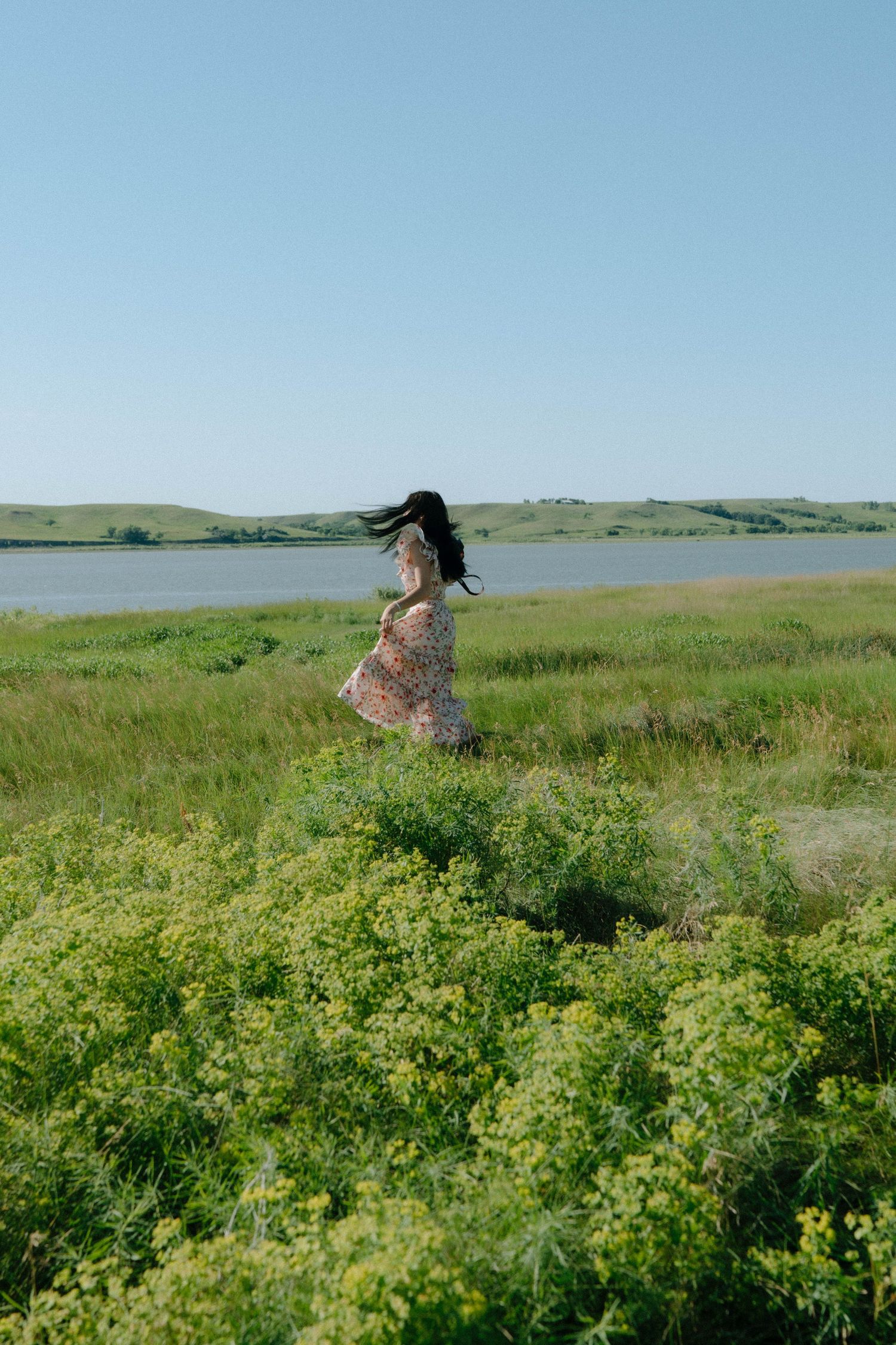 Person sits among blooming yellow wildflowers in a grassy field with rolling hills in the background.