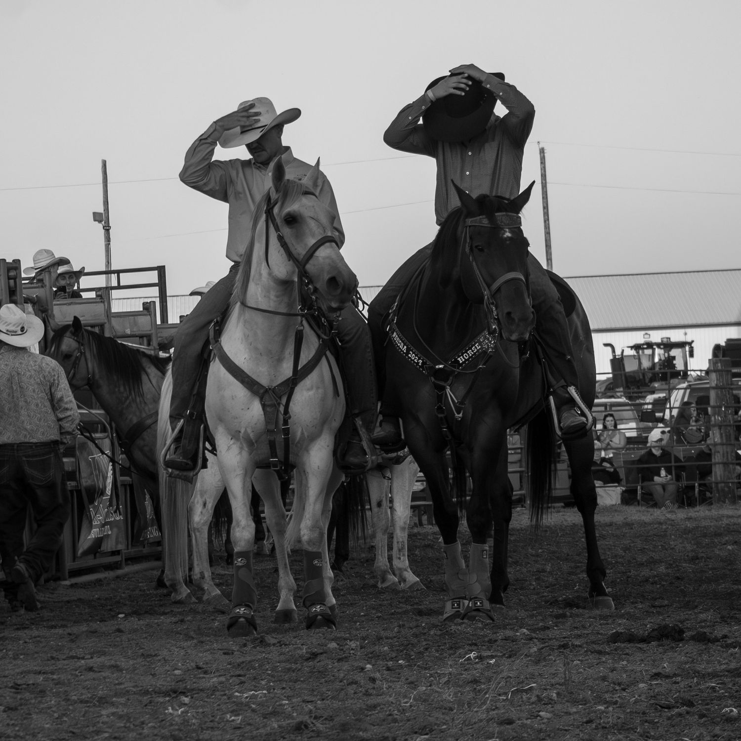 Black and white photo of cowboys and horses lined up at a western rodeo event.