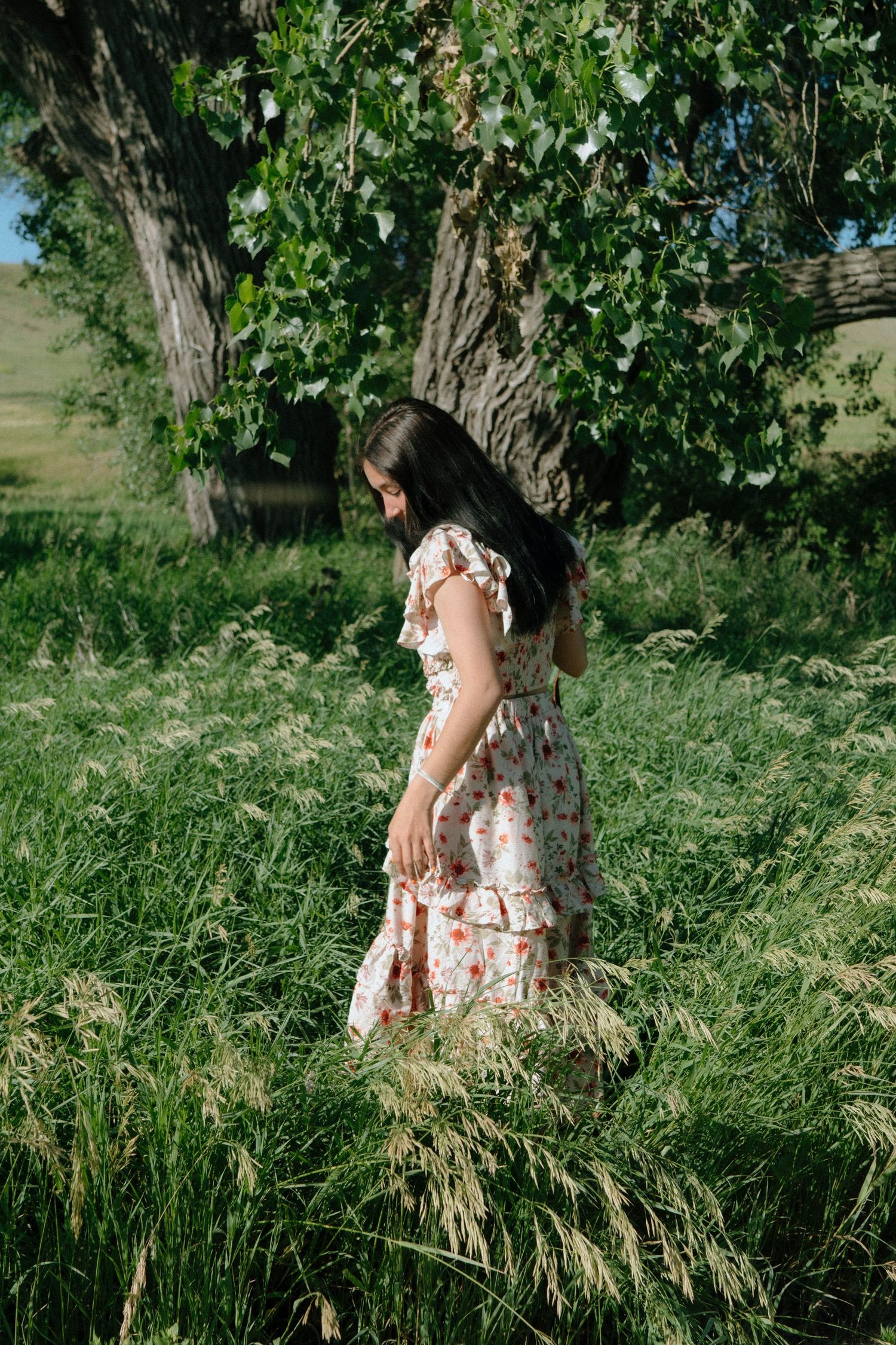Sunlit meadow scene with tall grass and leafy trees creating a dreamy summer atmosphere.