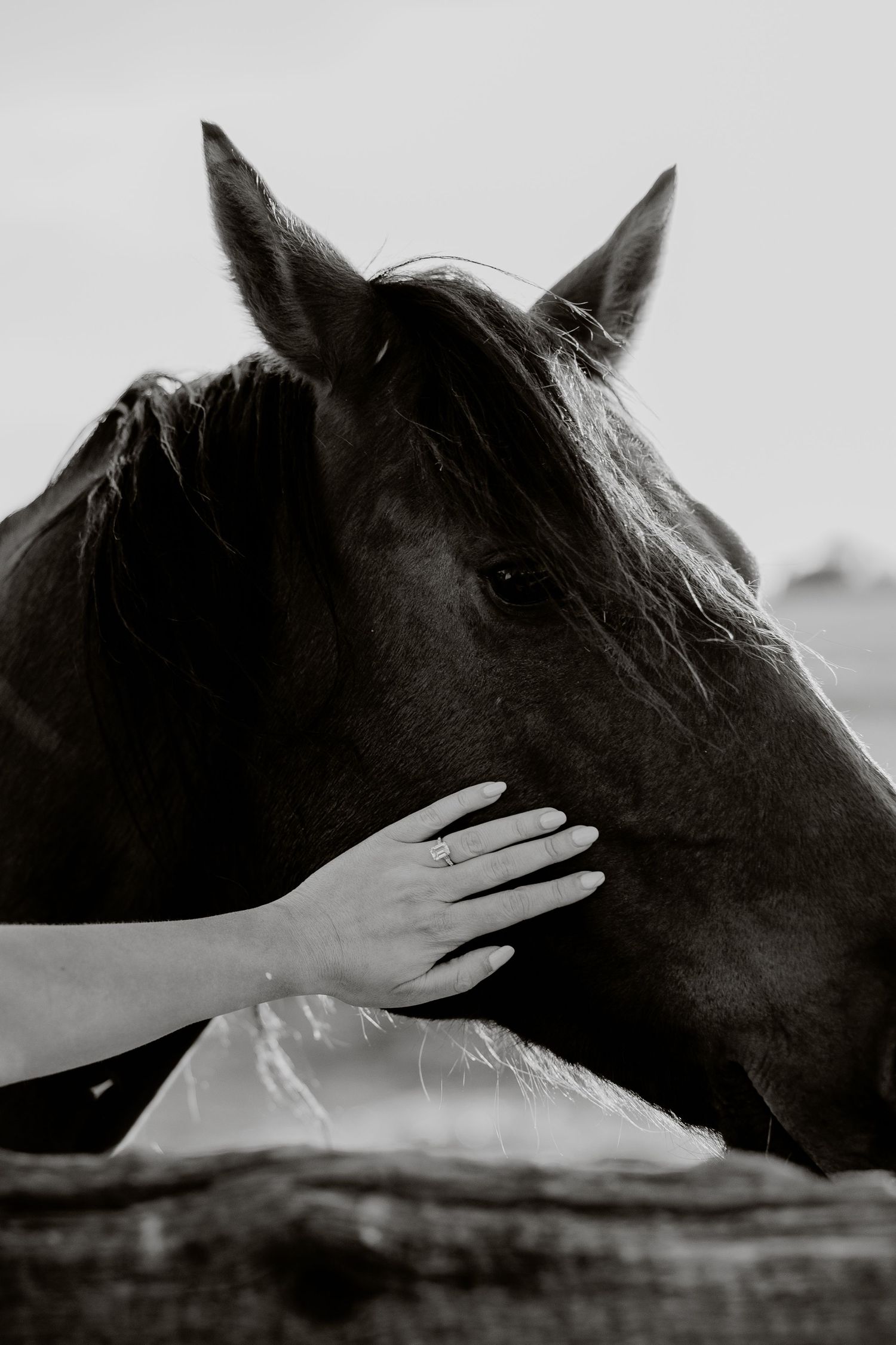 Candid documentary-style wedding photography in Banff and Calgary capturing genuine, unscripted moments with a soft western Aspen Allison