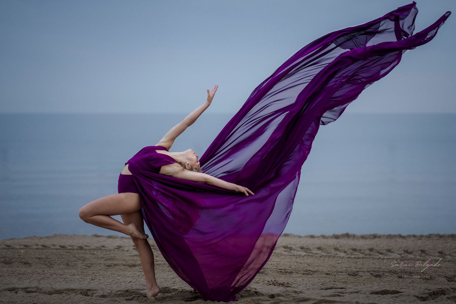 A flowing purple fabric billows dramatically against a beach landscape at sunset creating an artistic silhouette.