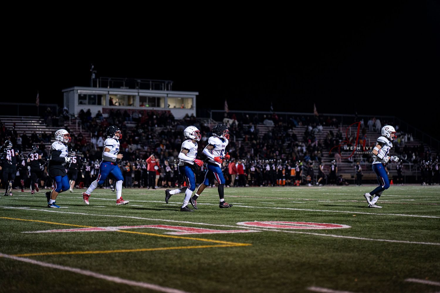 Football players line up for a play on a grass field during a night game under stadium lights.