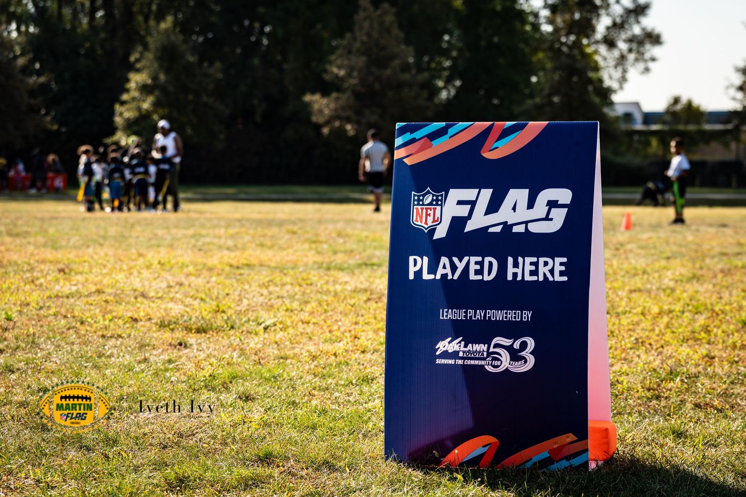 A row of outdoor event signs and banners displayed on grass with people visible in the background.