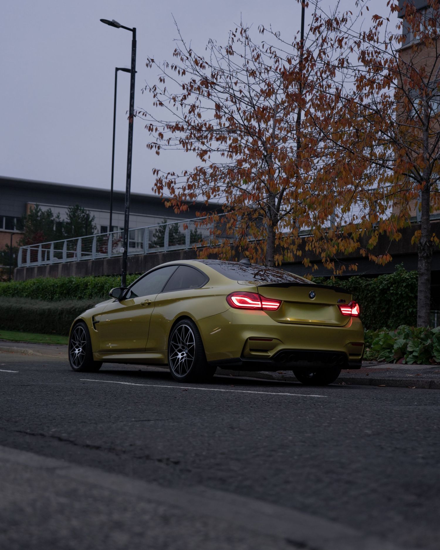 A gold BMW M4 sports car parked on a street during dusk with autumn trees in the background.
