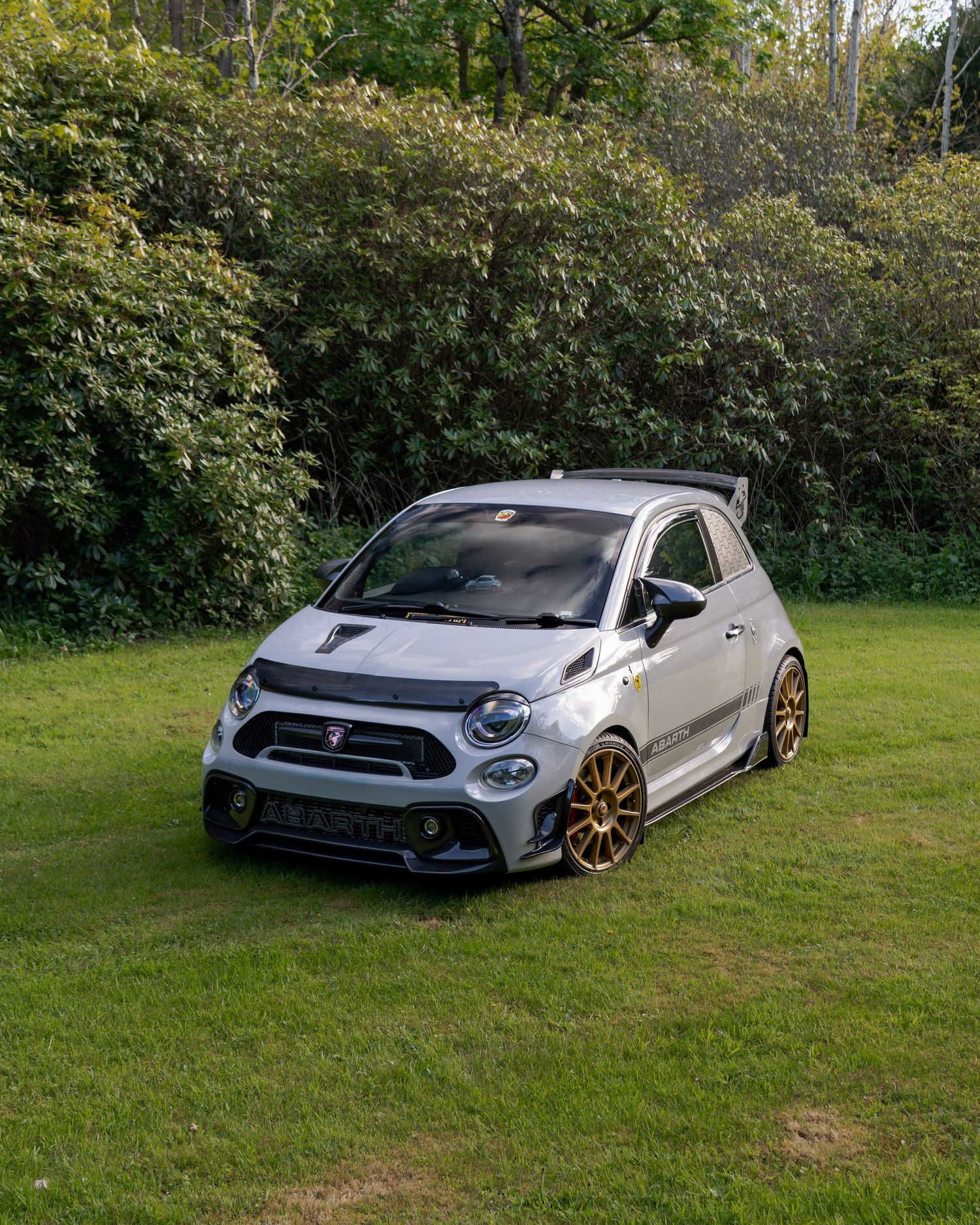 Silver Abarth 595 with gold wheels and rear spoiler parked on grass, surrounded by lush green trees.
