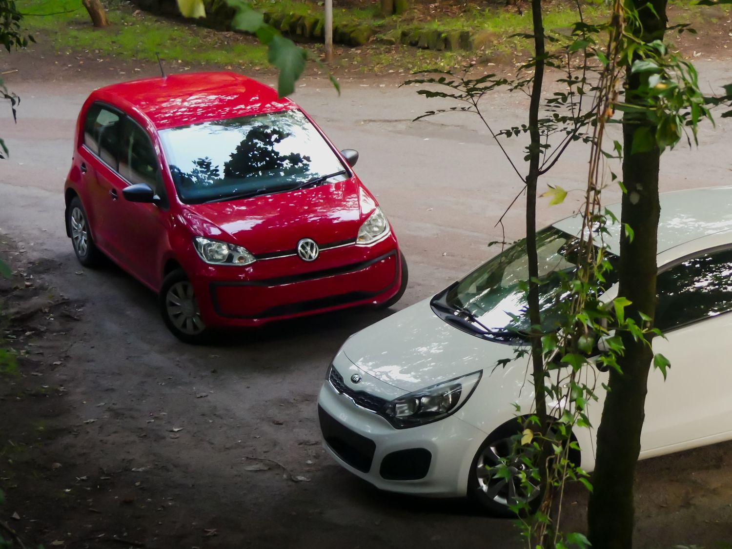 A red Volkswagen Up parked next to a white Kia Rio on a wet driveway surrounded by trees and vegetation.