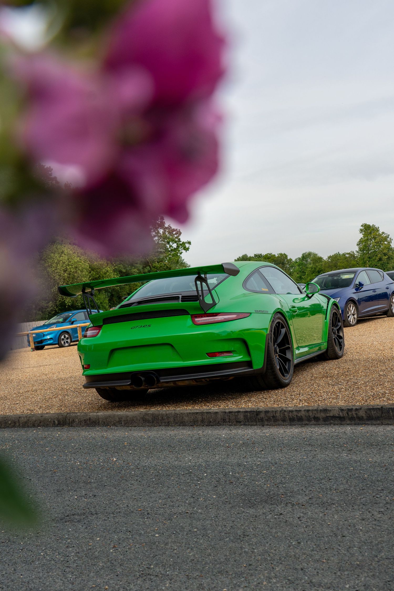 Vibrant green Porsche 911 GT3 RS parked on gravel, shot through pink flowers with a blue car in background.