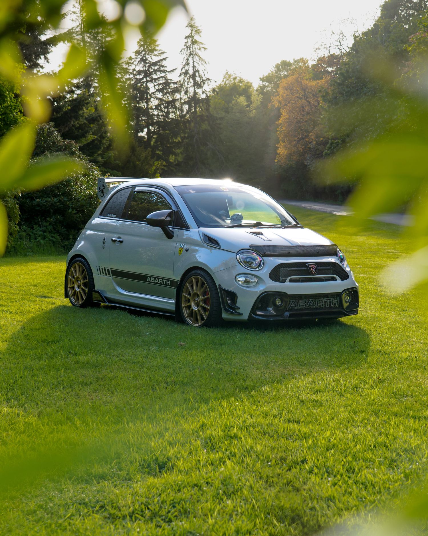 A modified Abarth 500 in silver with gold wheels parked on green grass surrounded by lush trees in golden hour light.