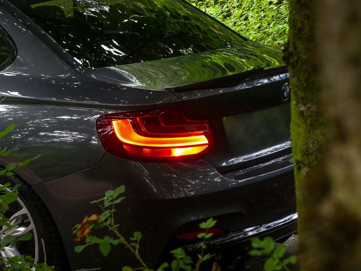 Modern black BMW tail light glowing red at dusk with green foliage in background.