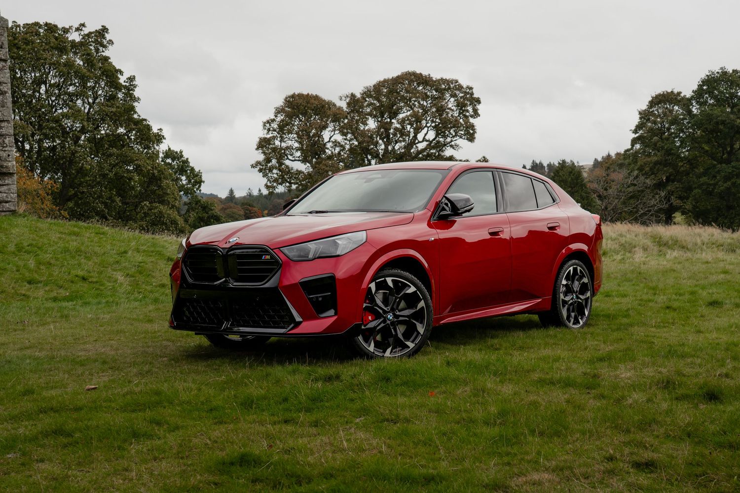 A red Lexus RX sports car photographed from multiple angles on a grassy hillside landscape.