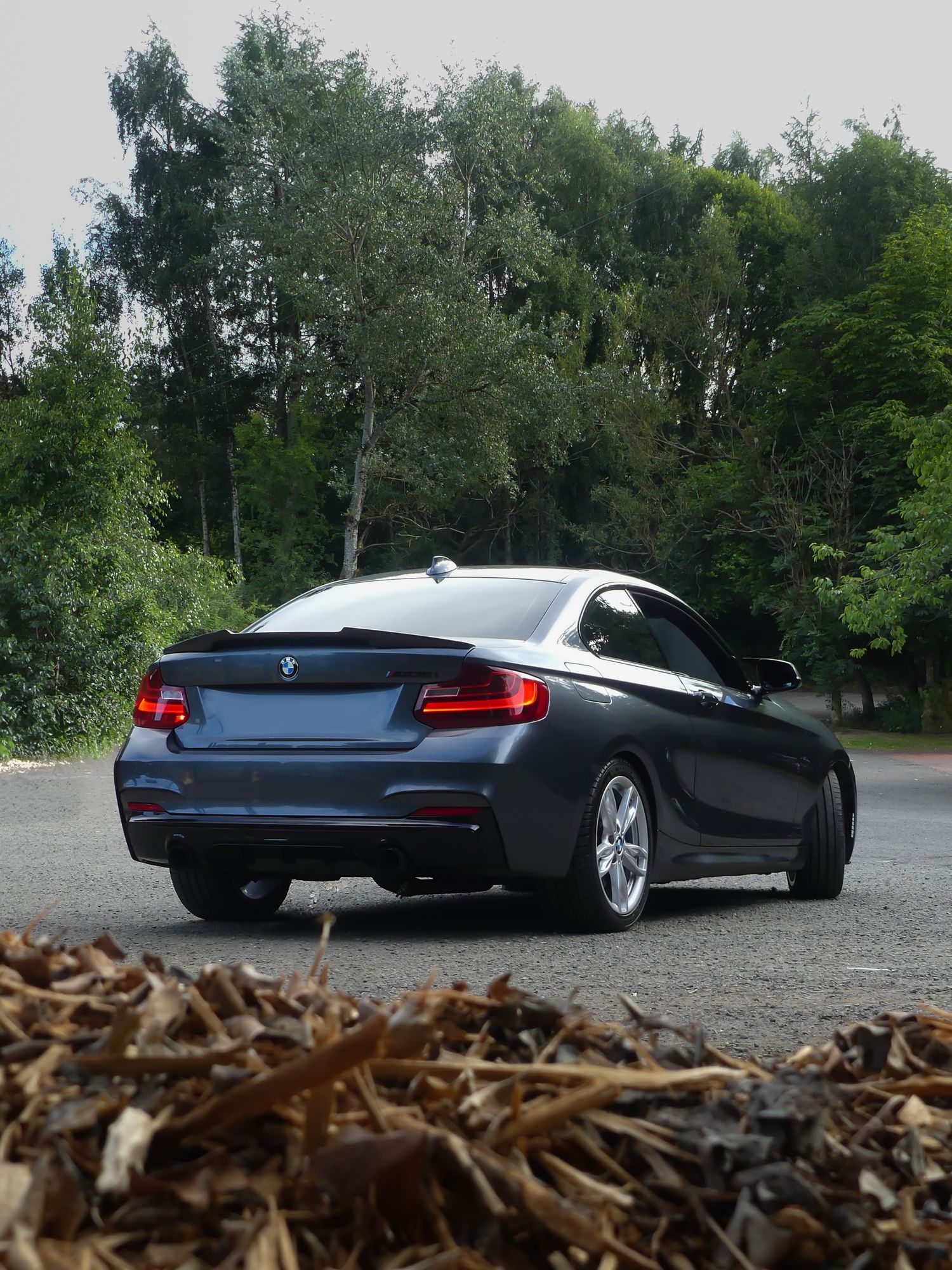 A sleek gray BMW 2-series coupe parked on a forest road with lush green trees in the background.