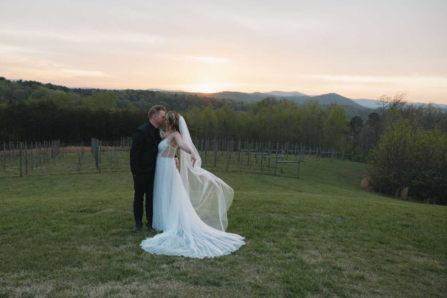 Serre Vineyards, North Carolina mountain wedding. Mt. Airy, NC