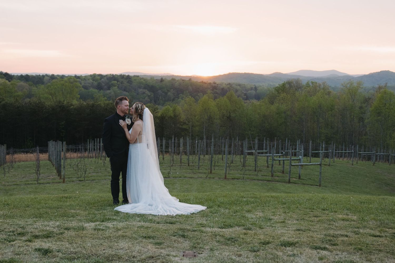 Serre Vineyards, North Carolina mountain wedding. Mt. Airy, NC
