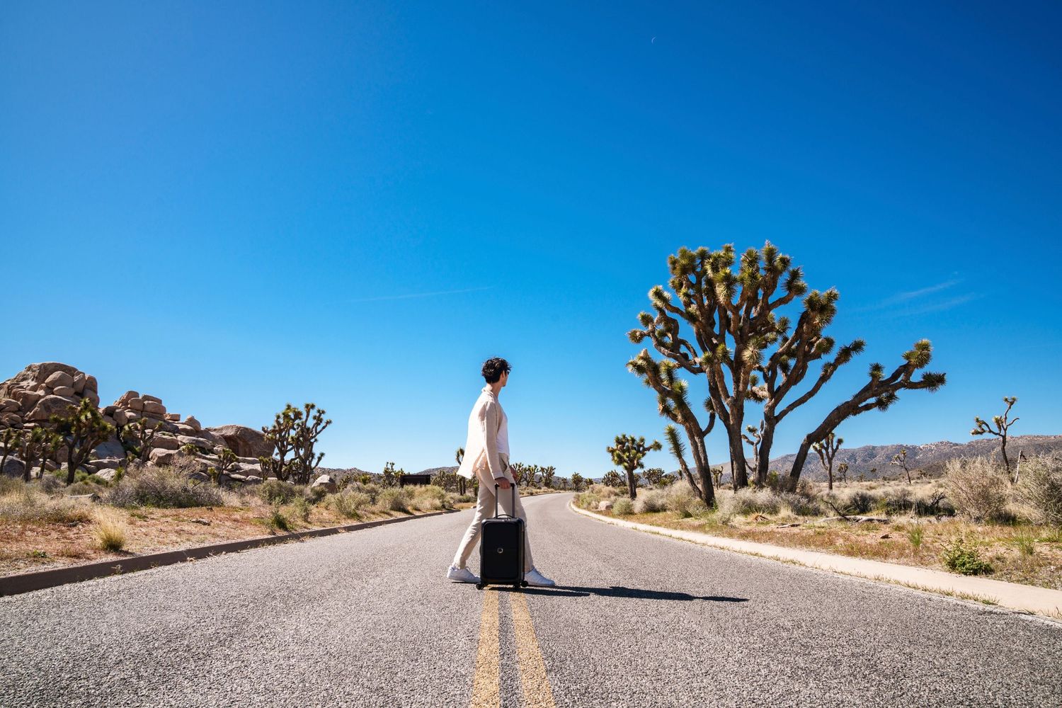 Scene of a lone figure stands in the middle of a desert road surrounded by Joshua trees under bright blue sky, rolling a Delsey luggage
