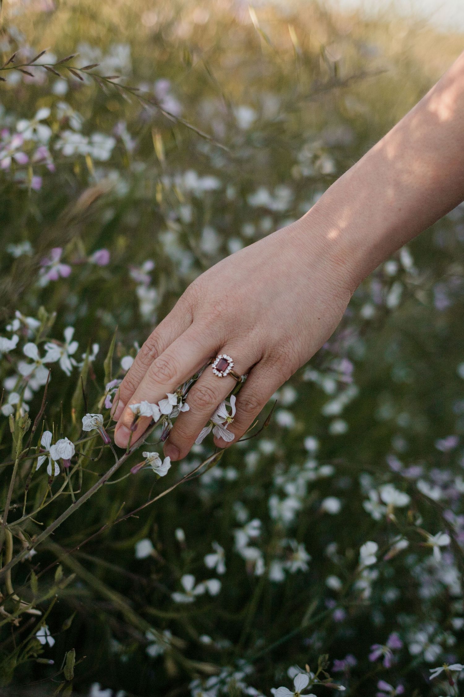 A hand adorned with a ruby ring gently touches delicate white wildflowers in a sunlit meadow.
