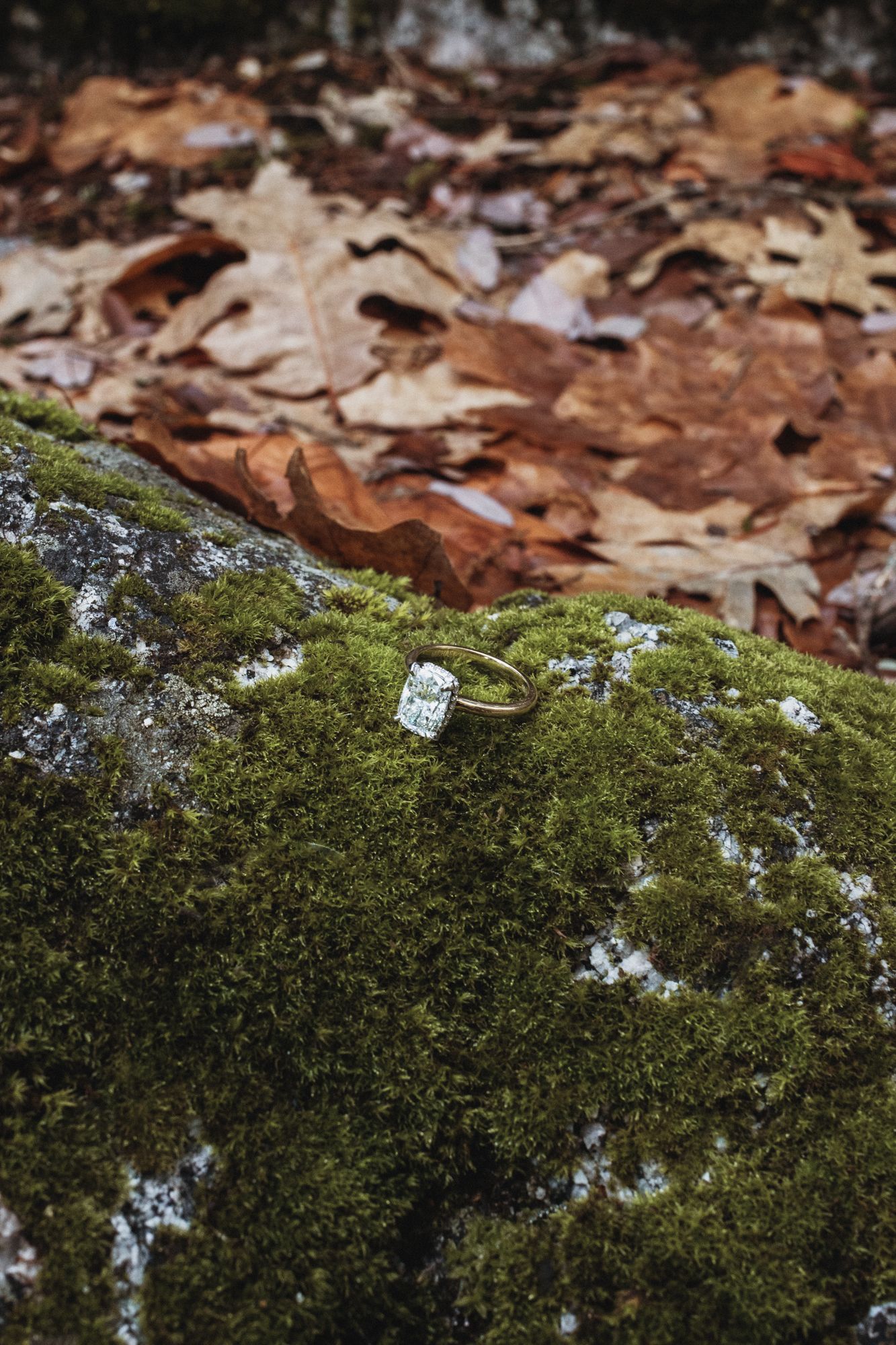 Gold engagement ring with emerald-cut diamond resting on moss-covered rock surrounded by autumn leaves.