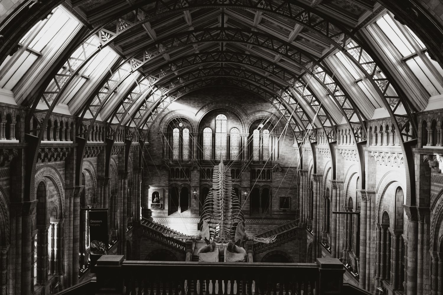 Black and white panoramic photograph showing the interior architecture of a historic natural history museum gallery.