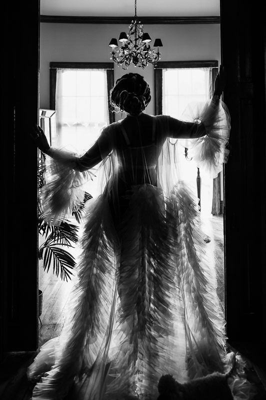 Dramatic black and white silhouette of a person in a flowing dress standing in front of sunlit windows with a chandelier above.