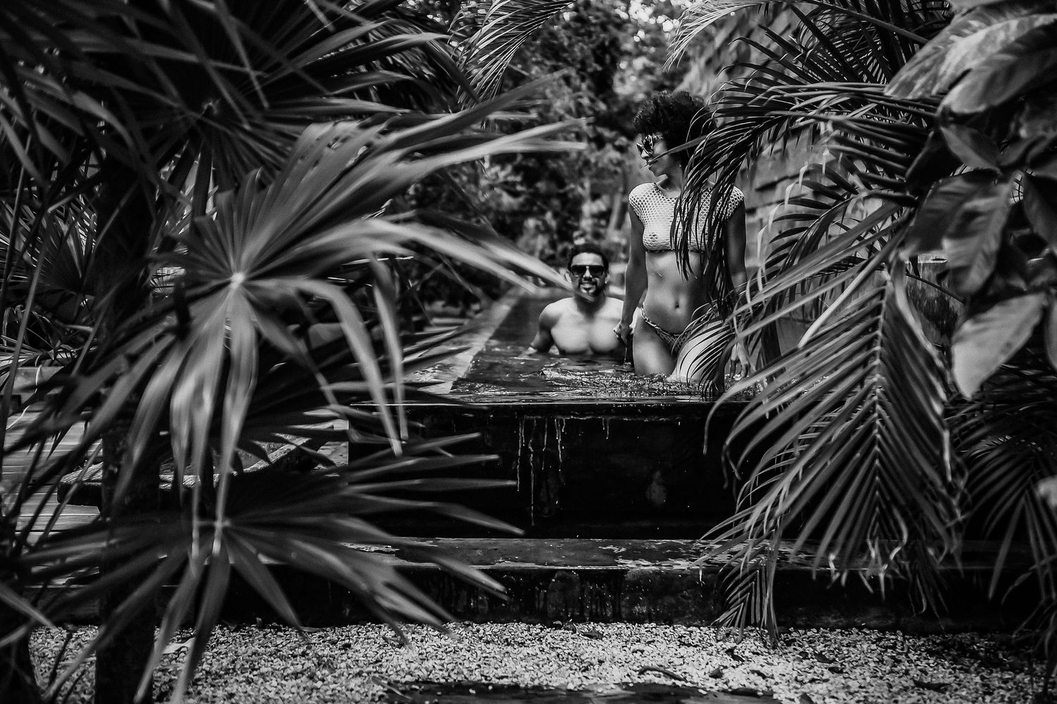 Tropical garden path lined with lush green palm fronds and other exotic plants creating a peaceful walkway.