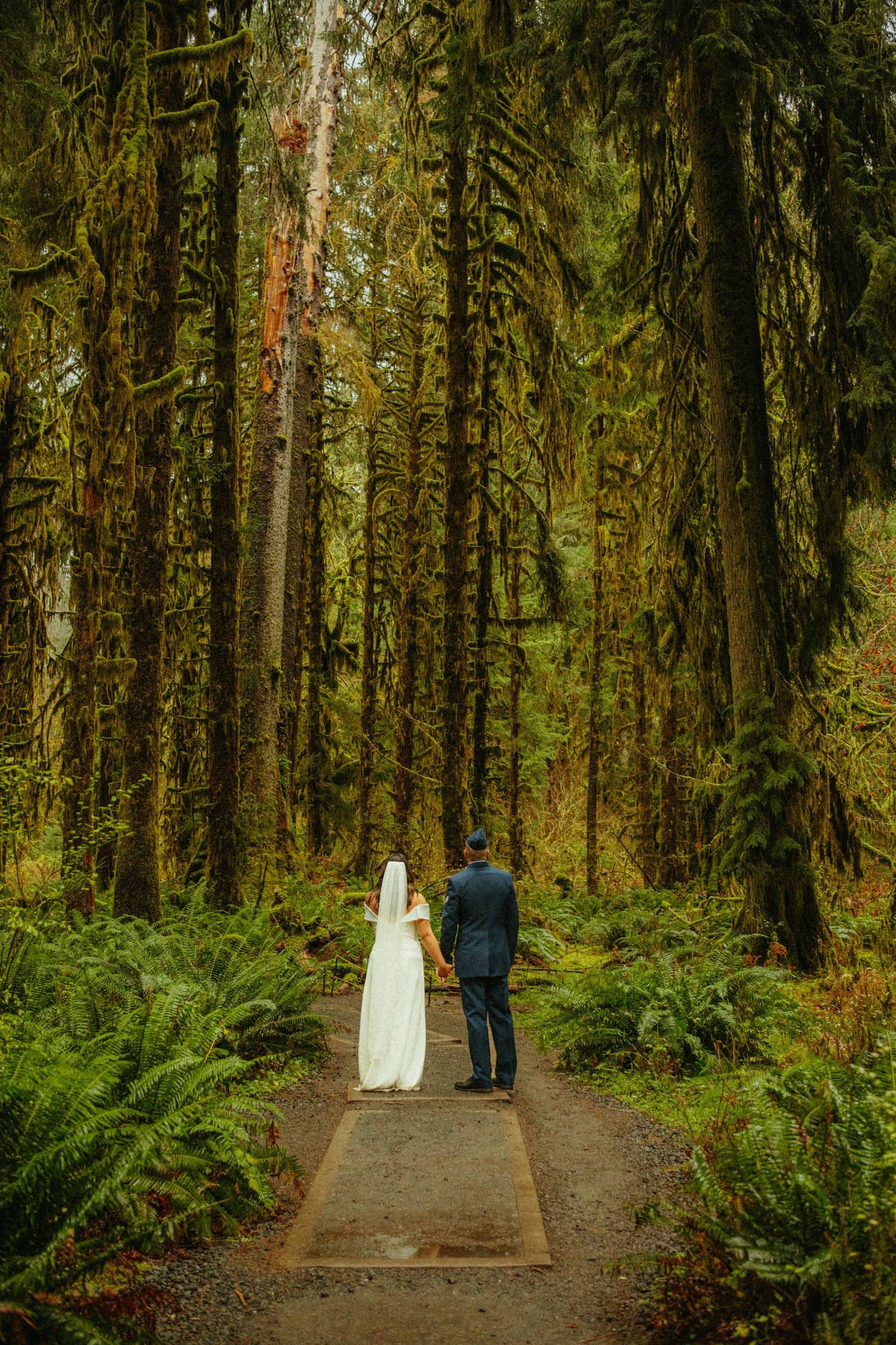 A couple in wedding attire stands on a forest path surrounded by towering evergreens and lush ferns in the Pacific Northwest.
