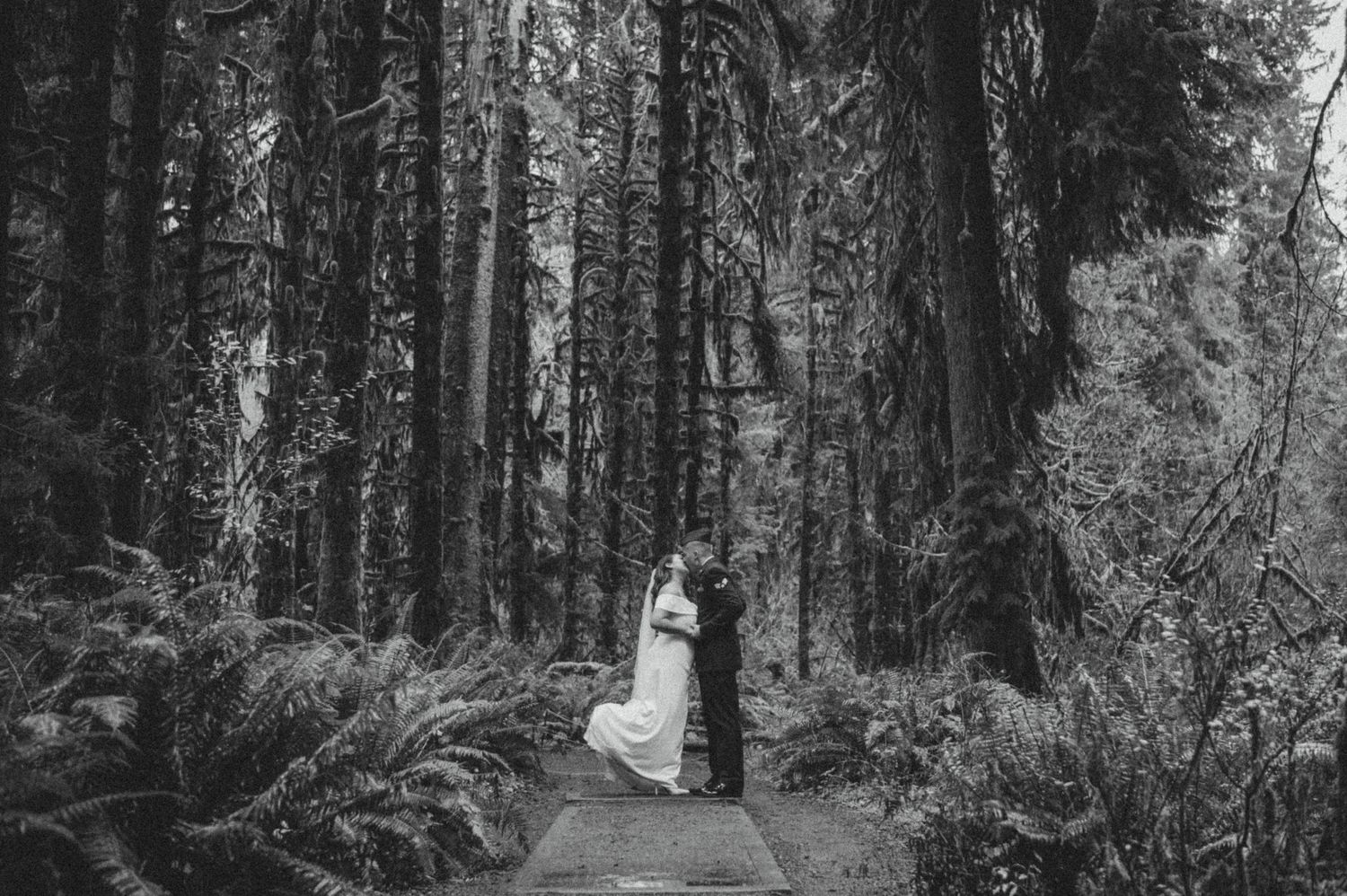 A couple in formal attire embracing on a forest path surrounded by towering redwood trees and ferns in black and white.