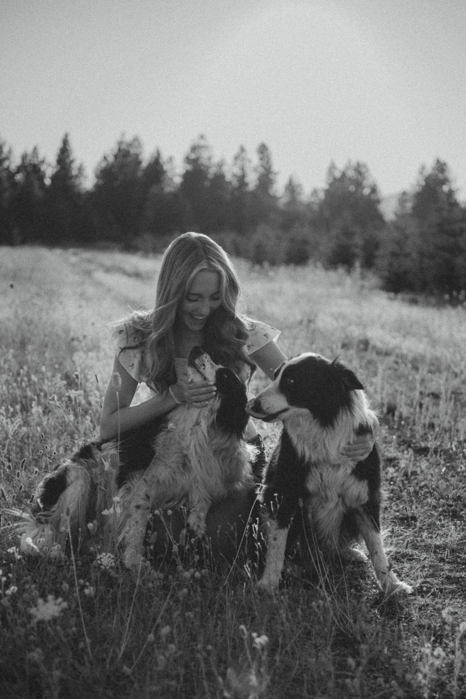 A monochromatic photo shows someone sitting in a meadow with two Border Collie dogs among tall grasses and trees.