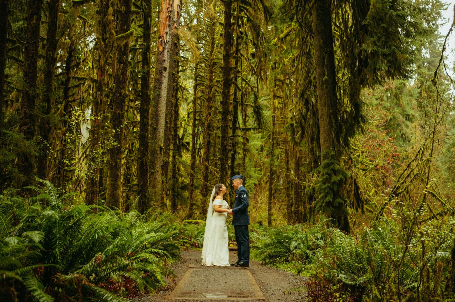 A couple in wedding attire stands embracing on a forest path surrounded by towering evergreens and lush ferns.
