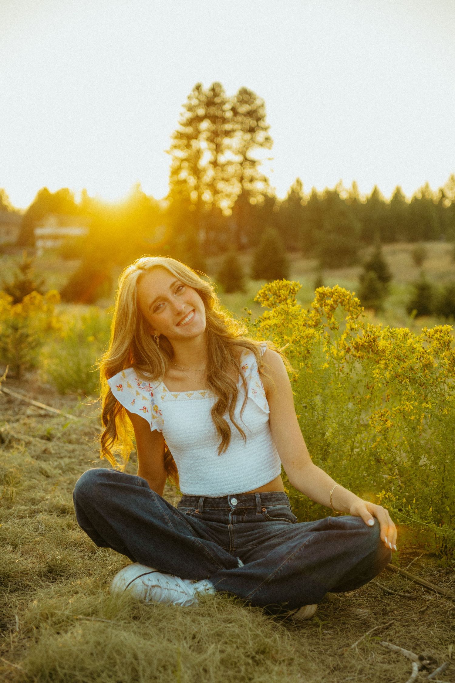 Person sits in casual attire amid yellow wildflowers during golden sunset with evergreen trees in background.