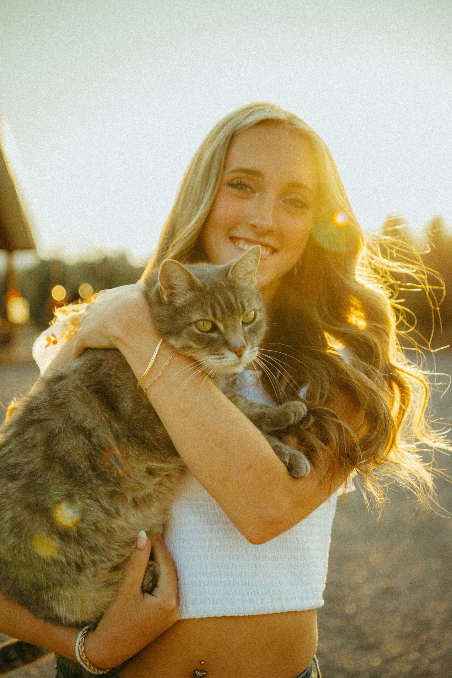 A gray tabby cat is held against a golden sunset while light flares create a dreamy atmosphere in the photo.