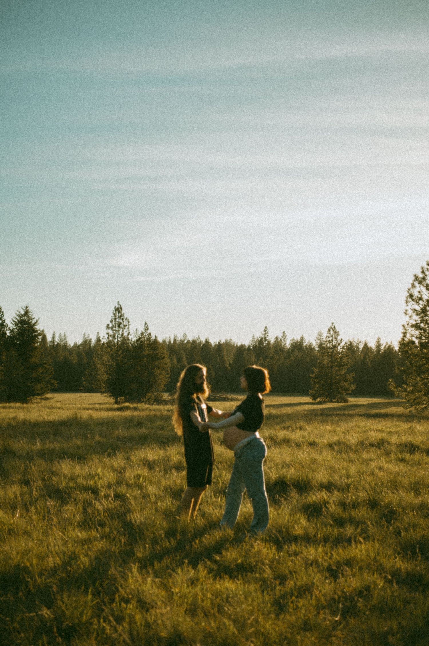Two silhouettes stand together in a golden field at sunset with evergreen trees and soft sky in the background.