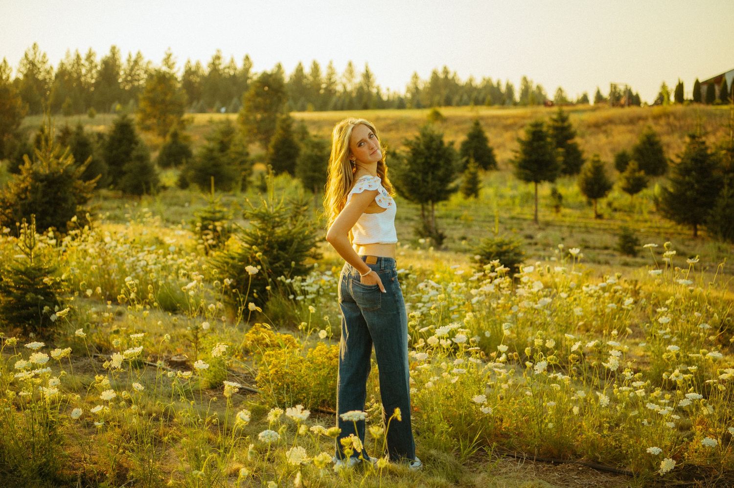 Person stands in a golden wildflower meadow at sunset with evergreen trees and rolling hills in the background.