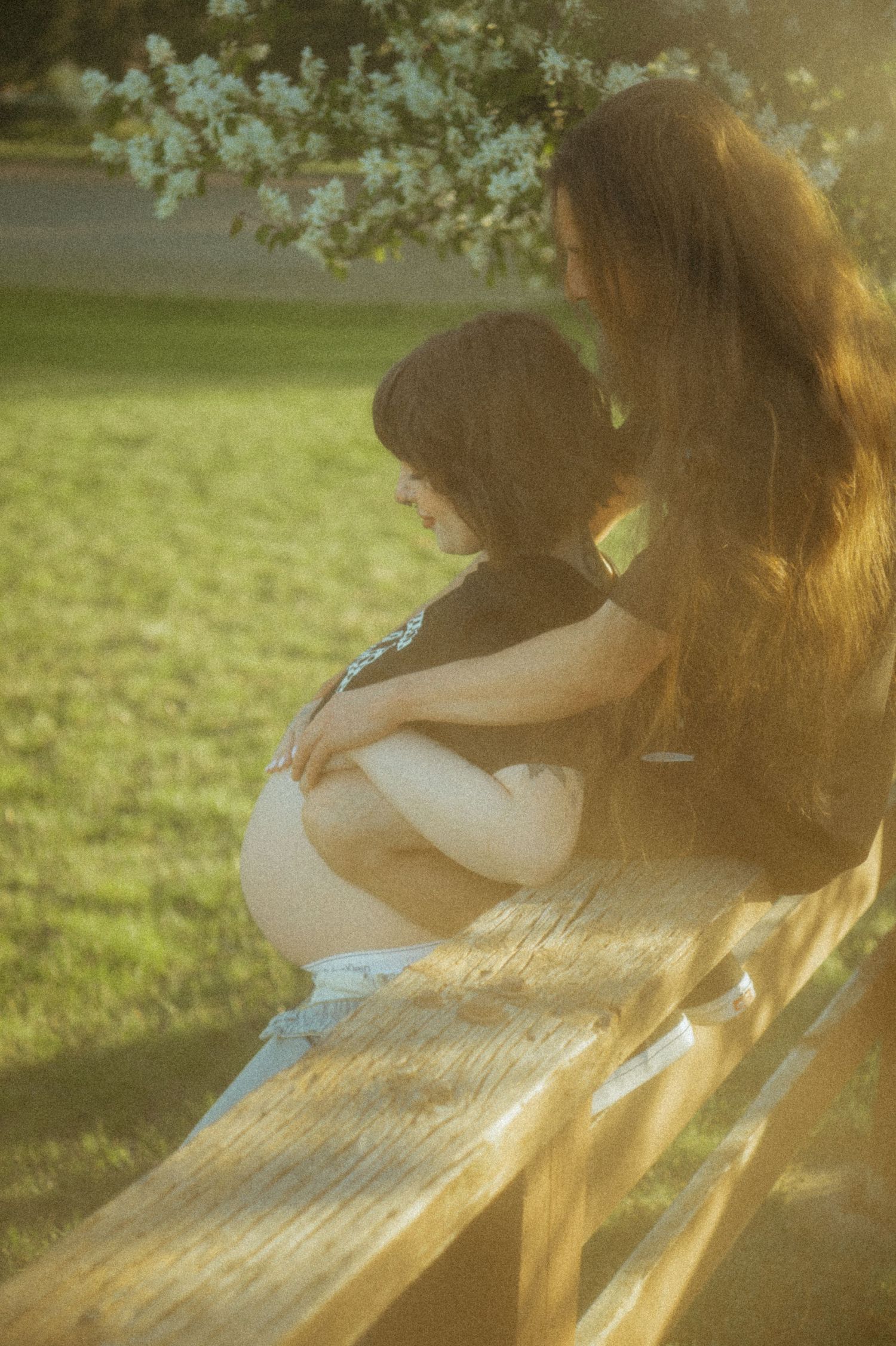 A dreamy golden-hour photo shows figures sitting together on a bench, backlit by soft sunlight in a grassy setting.