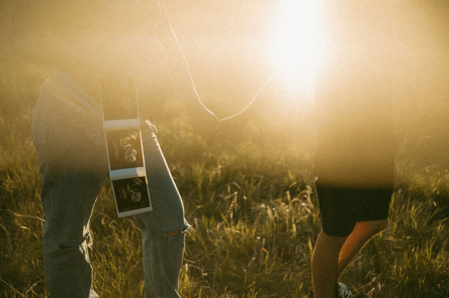 Person holding ultrasound picture in golden sunlit field with tall grass silhouetted against bright evening sky.