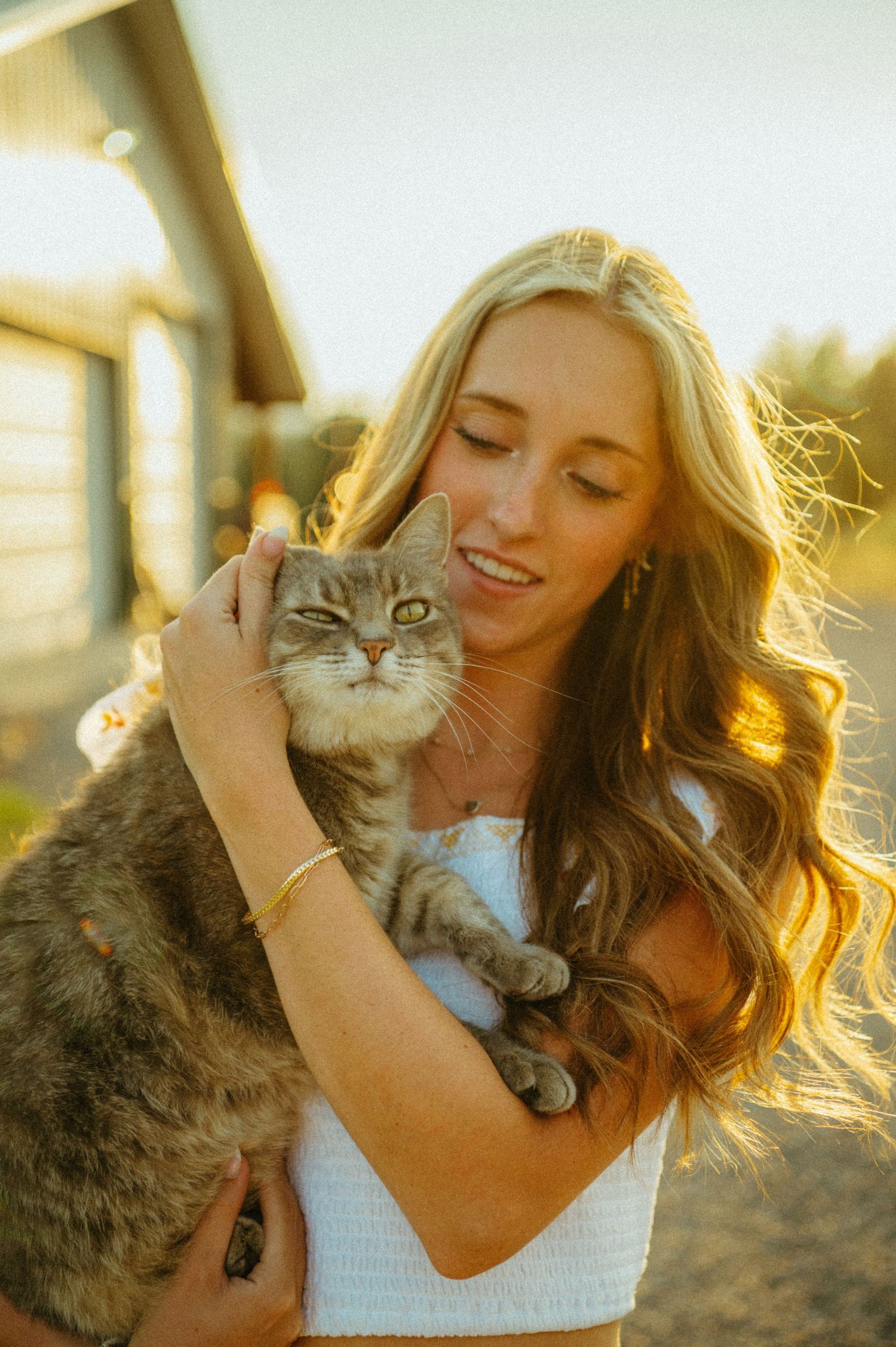 Person holding and cuddling a gray tabby cat outdoors during golden hour sunset.