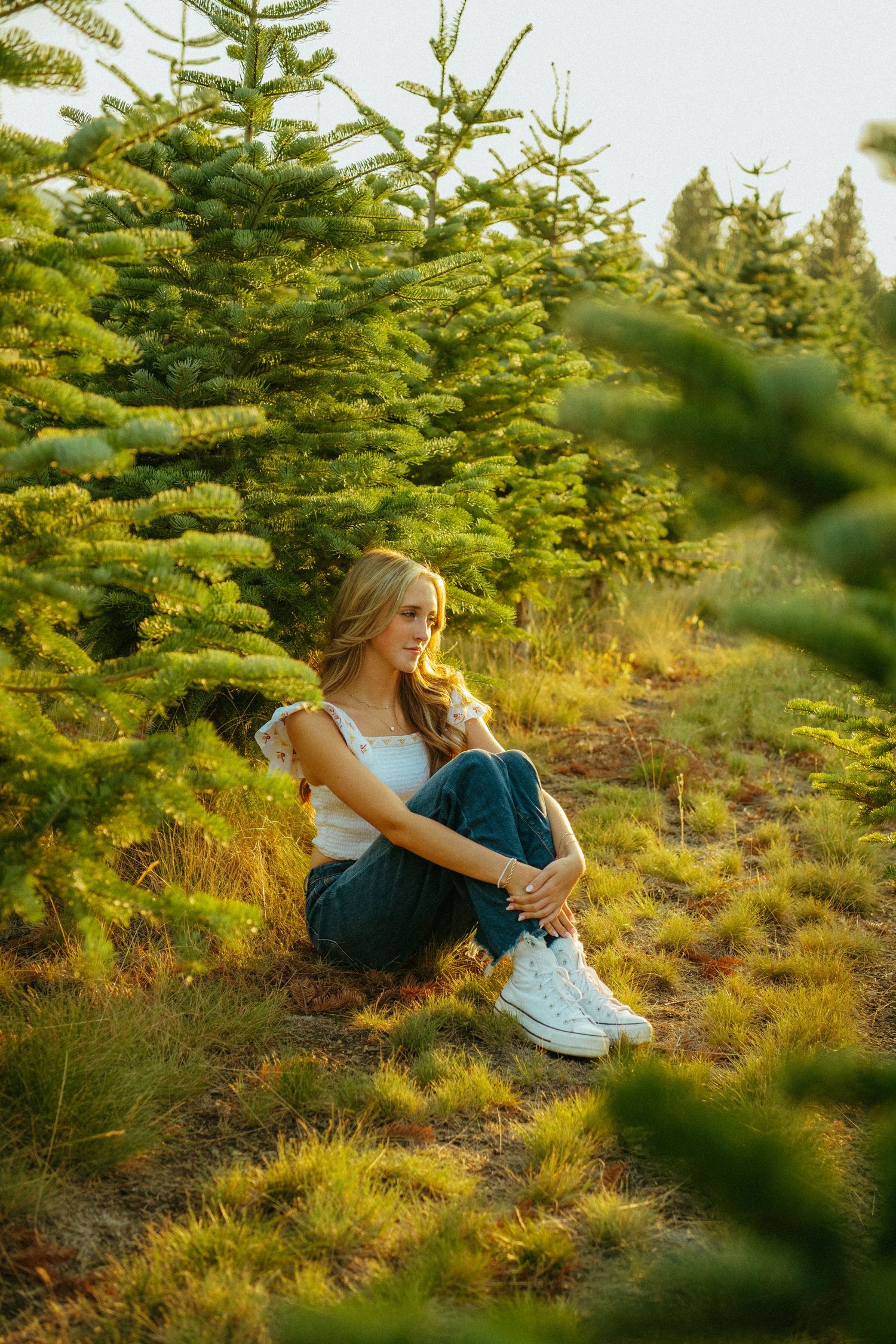 Evergreen trees surround a peaceful scene on a grassy hillside during golden hour.