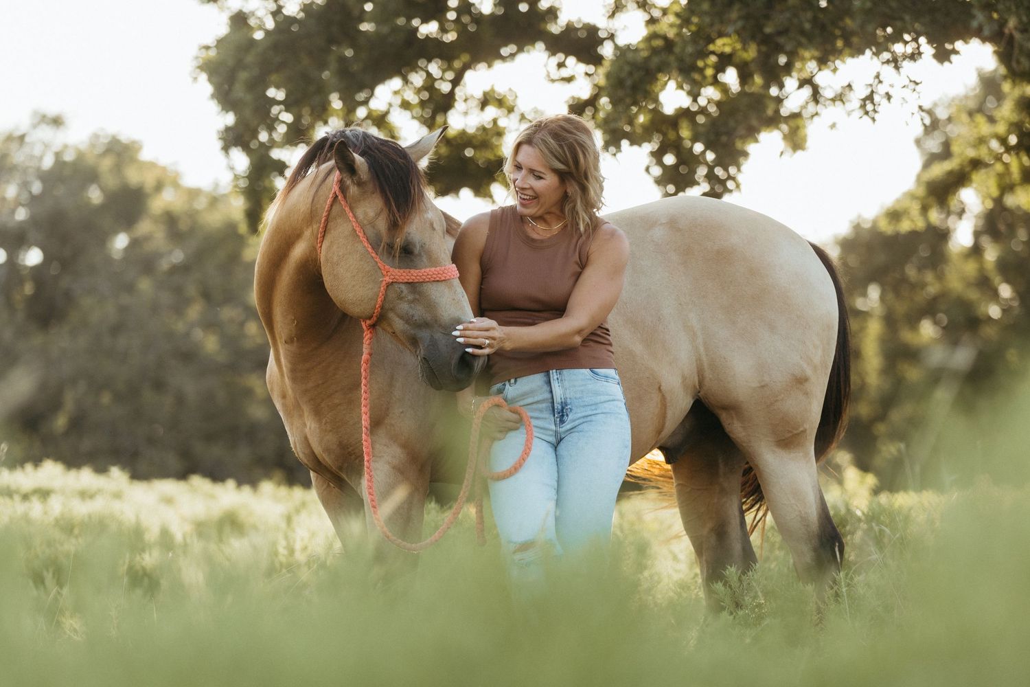 A warm sunset photo session in a field with horses and people enjoying a tender moment together.